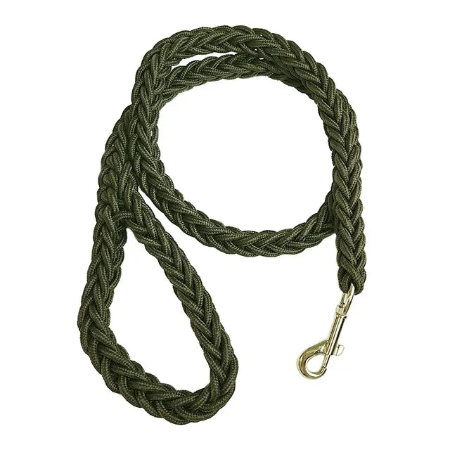 Laisse pour chien | Laisse forte tressée