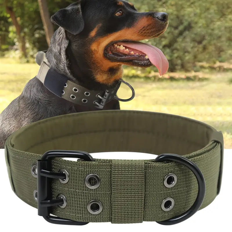 Collier-chien-nylon-réglable-rottweiler