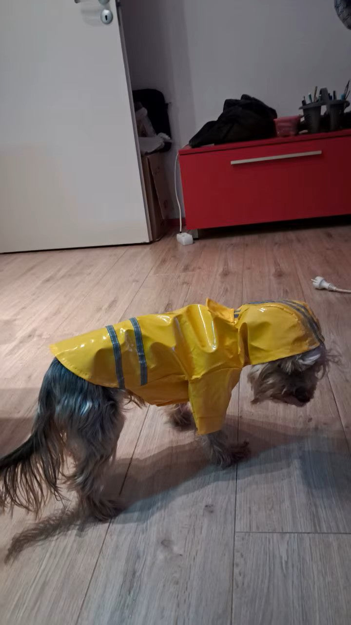 DoggyJack™ - Veste imperméable pour chien