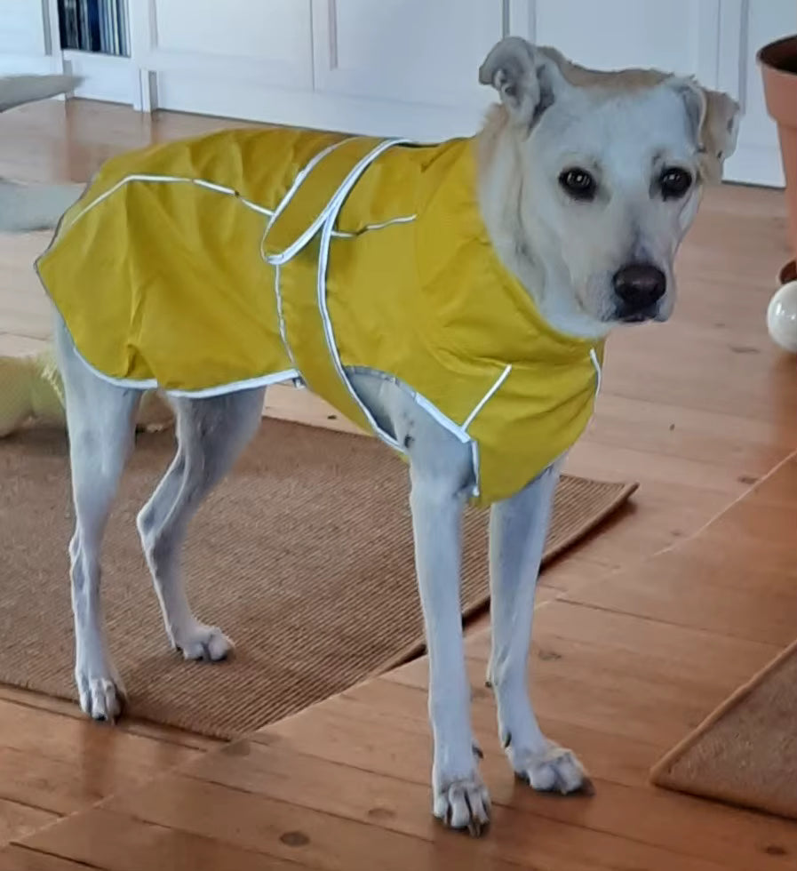 Imperméable-pour-chien-Tout-temps robuste-jaune