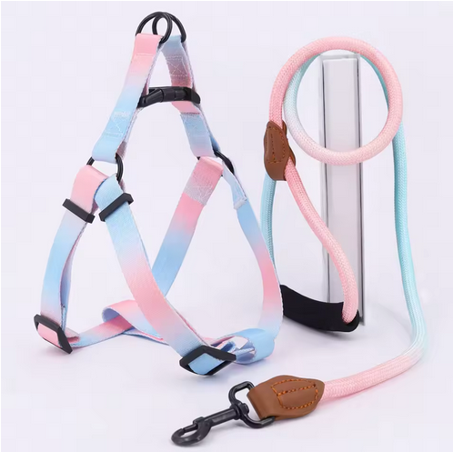 Harnais pour chien | Harnais coloré