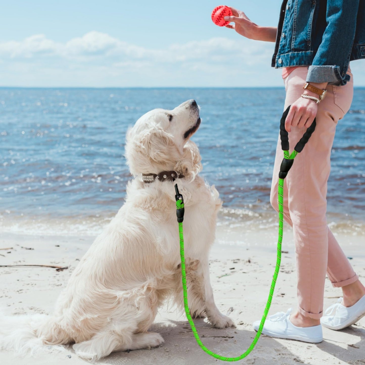Laisse pour Chien | Strong Leash