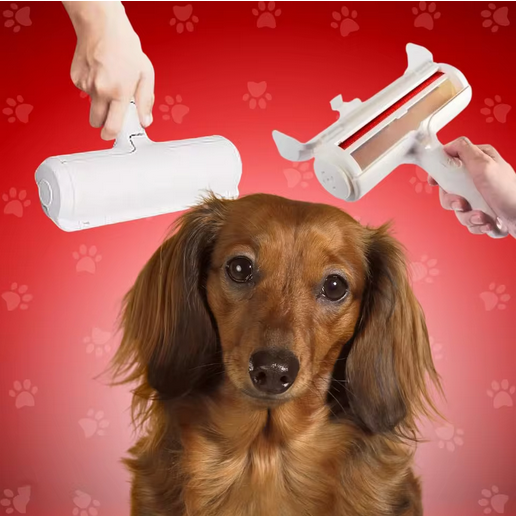 Cleanoutou™ - Rouleau anti - poils chien - Chienspassionnes