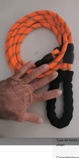 Laisse pour Chien | Strong Leash