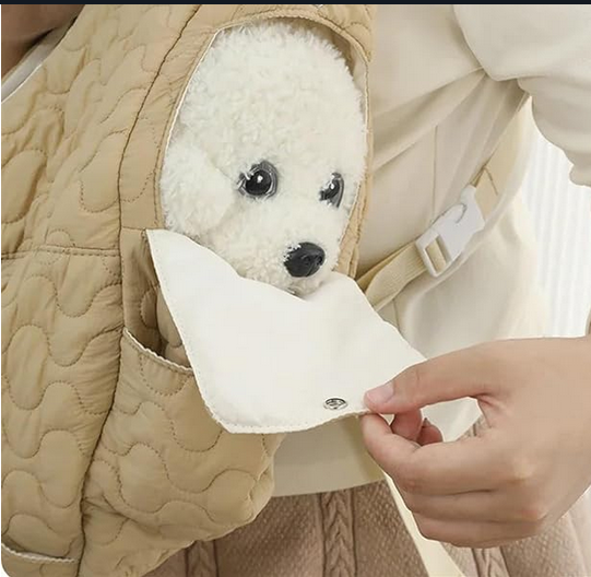 Sac-de-transport-chien-sac-à-mains-portable-fenêtre-latérale