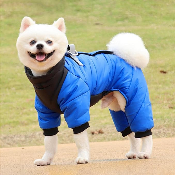 Manteau pour chien | Hivernal