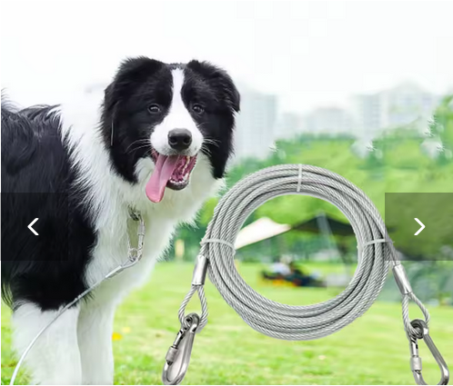Laisse pour chien | SecurePet 30m