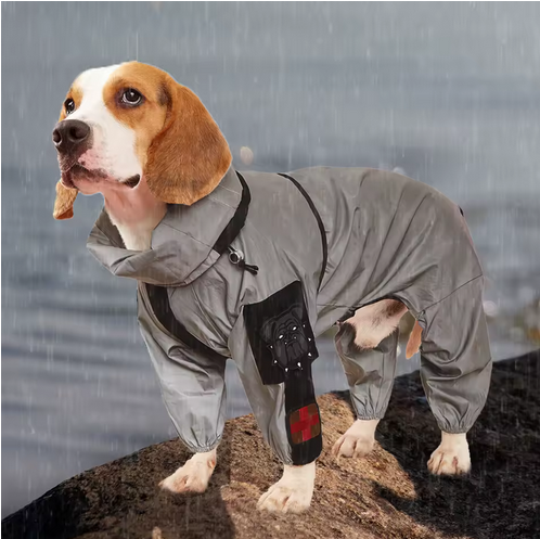 Manteau pour chien | Manteau imperméable- petit chien