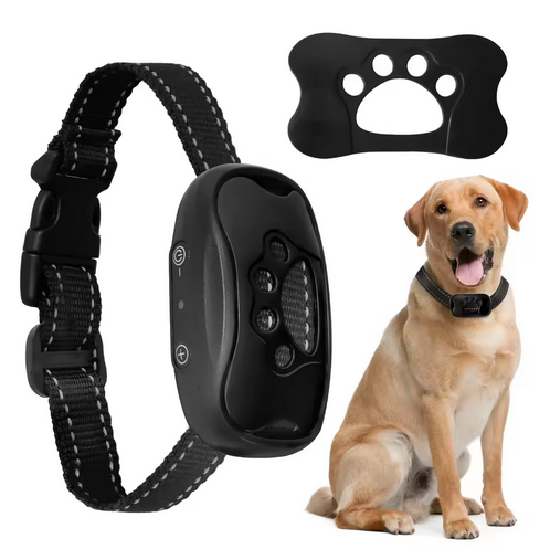 Collier de dressage pour Chien | TéléControl 800m