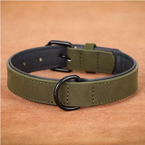 Collier-pour-chien-Premium-Secure-vert-foncé