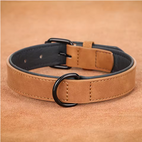 Collier-pour-chien-Premium-Secure