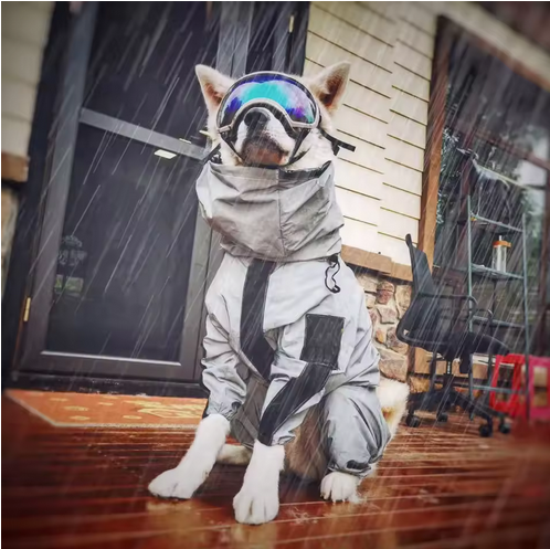 Manteau pour chien | Manteau imperméable- chien pluie