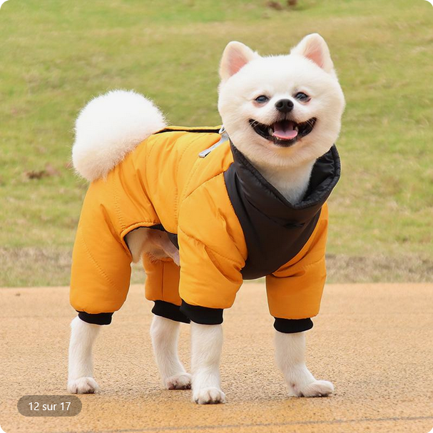 Manteau-pour-chien | Hivernale-jaune