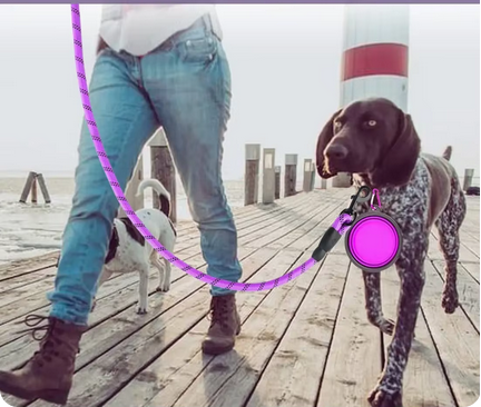 Laisse pour Chien | Strong Leash