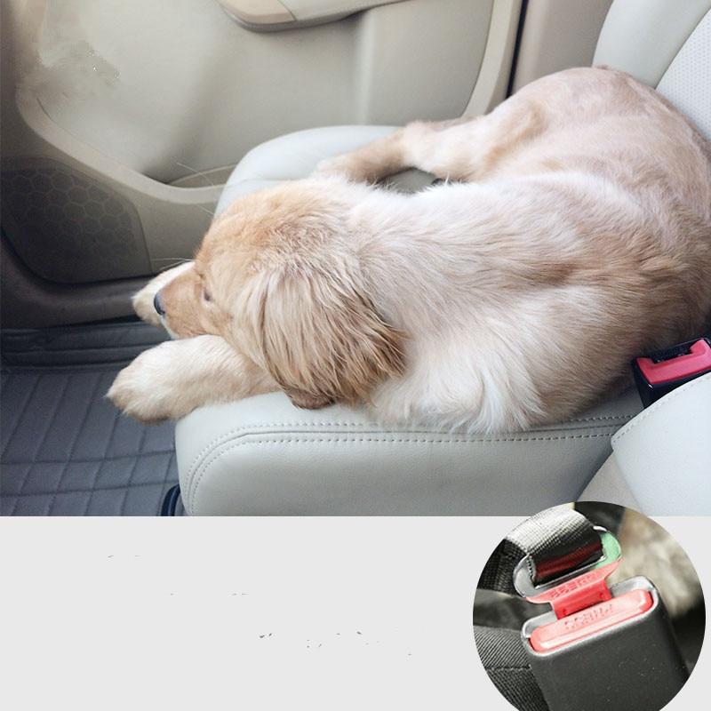 BeltPet™ - Ceinture de siège pour animal de compagnie - Chienspassionnes