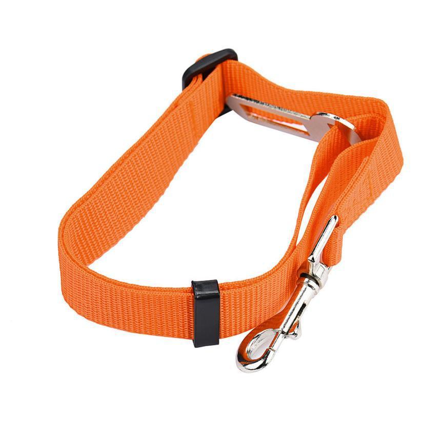 BeltPet™ - Ceinture de siège pour animal de compagnie - Chienspassionnes