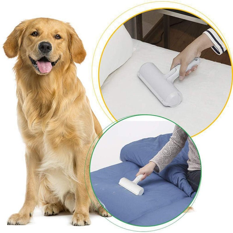 Cleanoutou™ - Rouleau anti - poils chien - Chienspassionnes