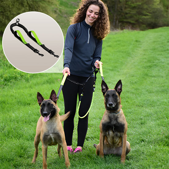 Laisse-double-pour-chien-vert