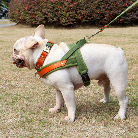 Harnais-chien-anti-traction-vert-latéral