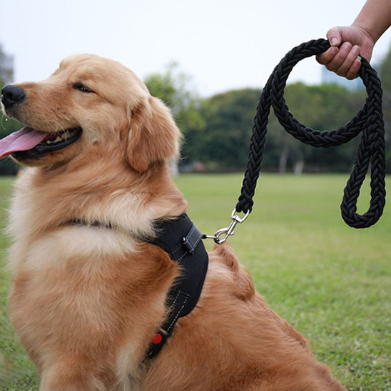 Laisse pour chien | Laisse forte tressée