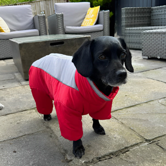 Manteau-chien-hivernal-rouge
