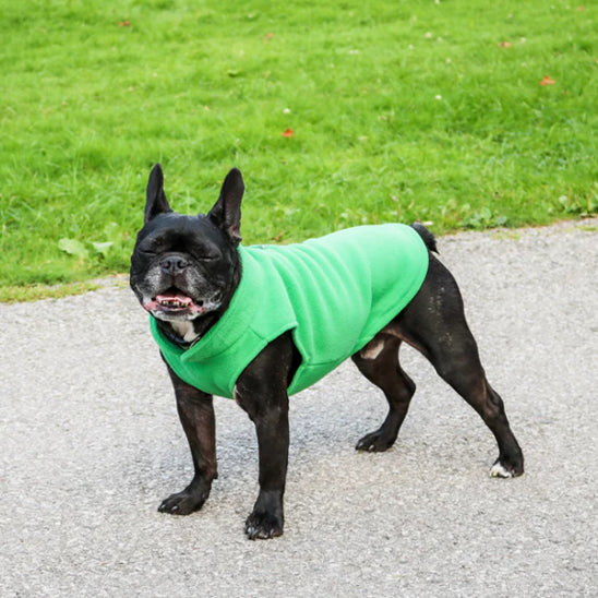 Manteau-chien-polar-vert