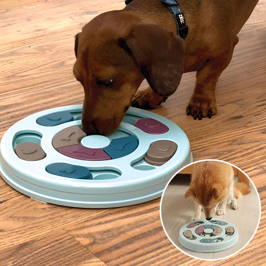 DogDistibNourritureIntéractif™ - Chienspassionnes