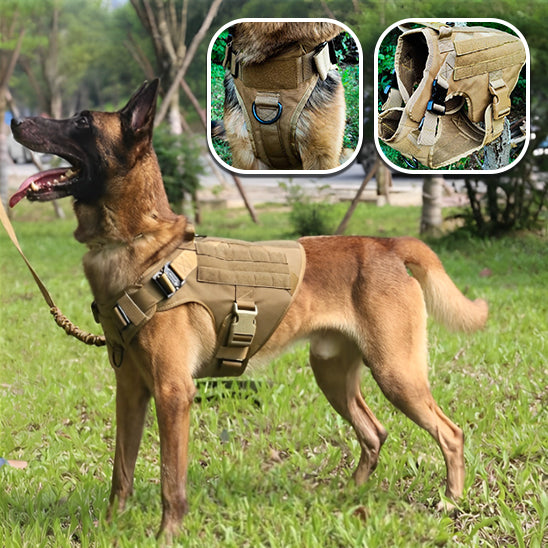 Harnais-chien-tactique-veste-beige