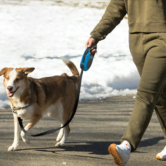 Laisse-Rétractable-Dog-Leash-bleu