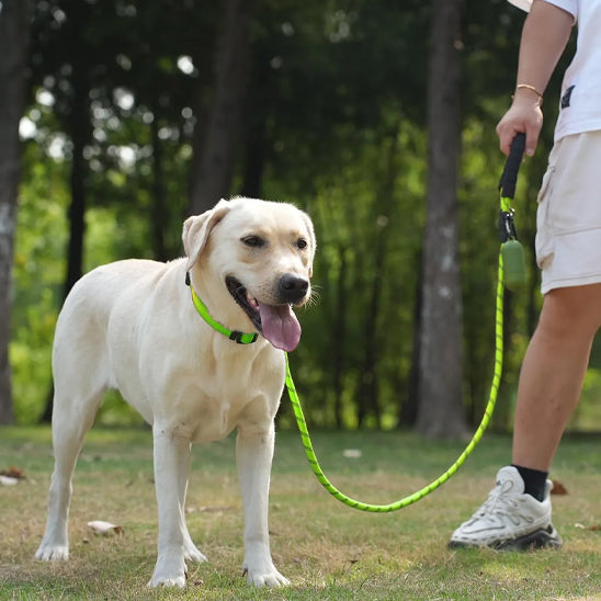 LaisseEduc™ - Corde en Nylon pour chien | Chien
