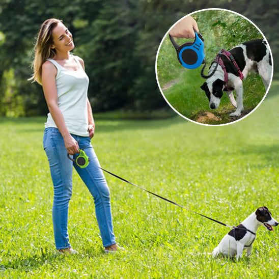 Laisse-Rétractable-Dog-Leash-dame-bulle-bleu