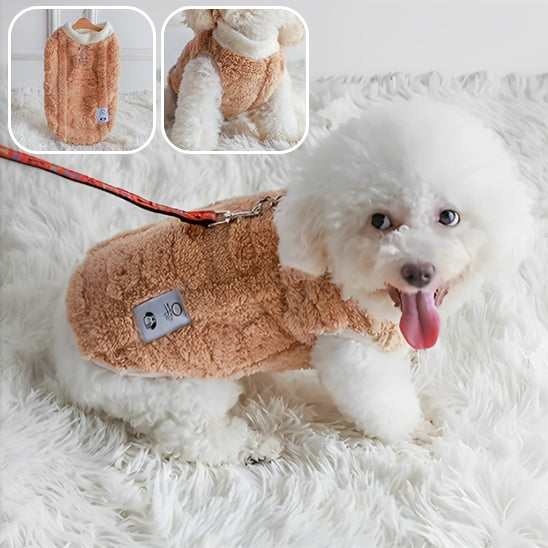 Manteau pour chien-Giphy-curry