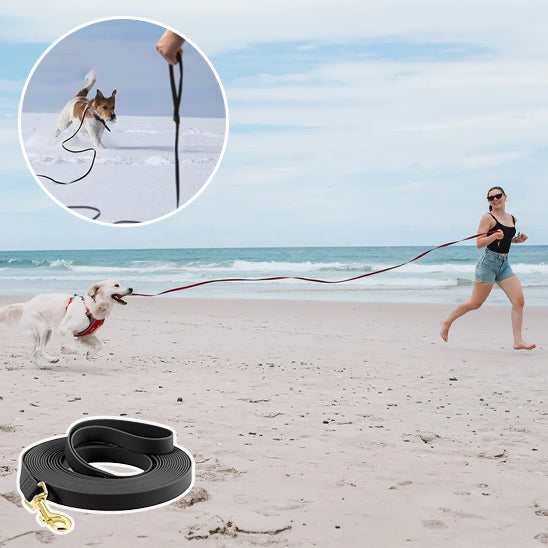 Longe-pour-chien-Robuste-&-Ajustable