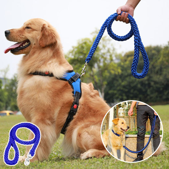 Laisse pour chien | Laisse forte tressée
