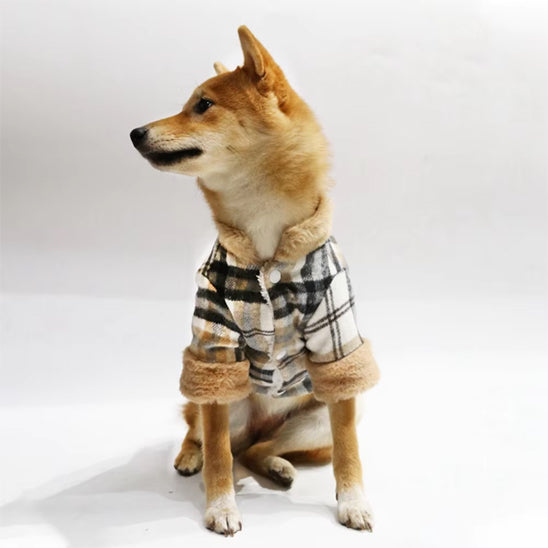 Manteau pour chien - treillis-frontal