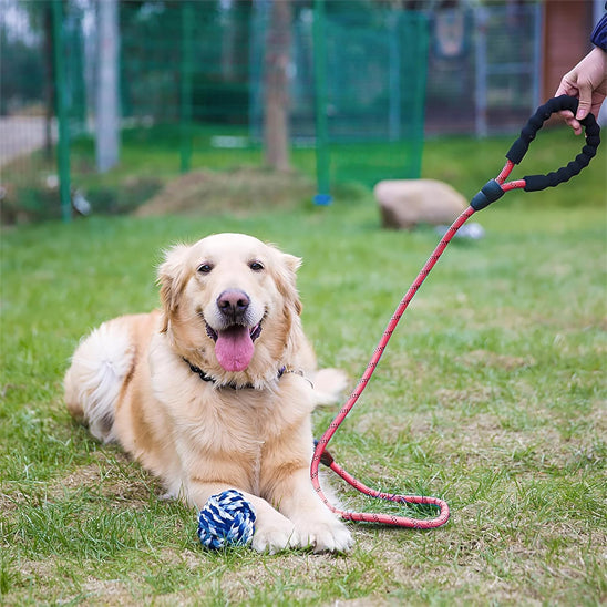 LaisseEduc™ - Corde en Nylon pour chien | Chien - Chienspassionnes