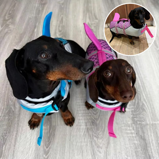 Gilet-de-sauvetage-chien-requin-multi-chiens