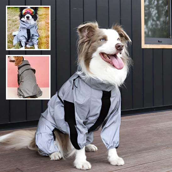 Manteau pour chien | Manteau imperméable- collie et bulles