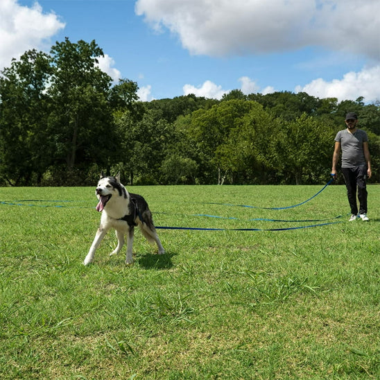 Longe-pour-chien-Longe-robuste