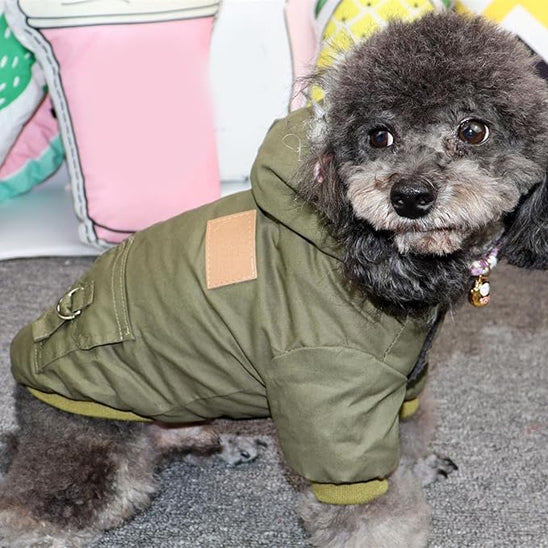 Manteau pour chien | Vêtement à capuche-vert