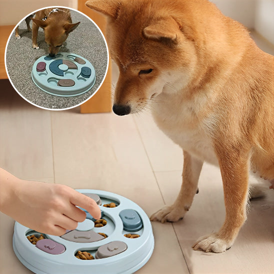 DogDistibNourritureIntéractif™ - Chienspassionnes