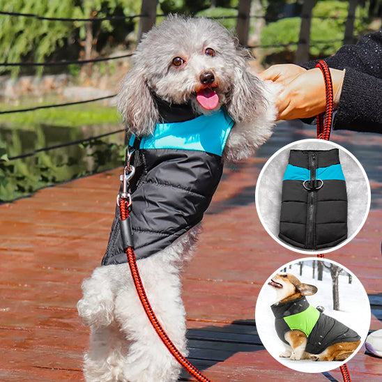 Manteau pour chien | Veste rembourrée