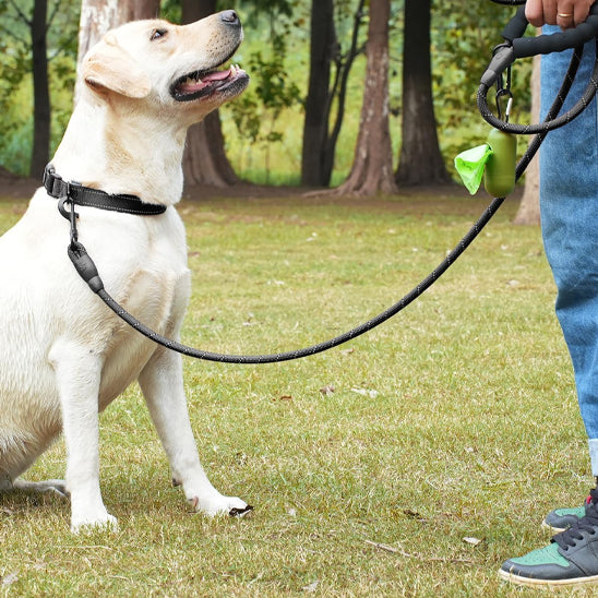 LaisseEduc™ - Corde en Nylon pour chien | Chien - Chienspassionnes
