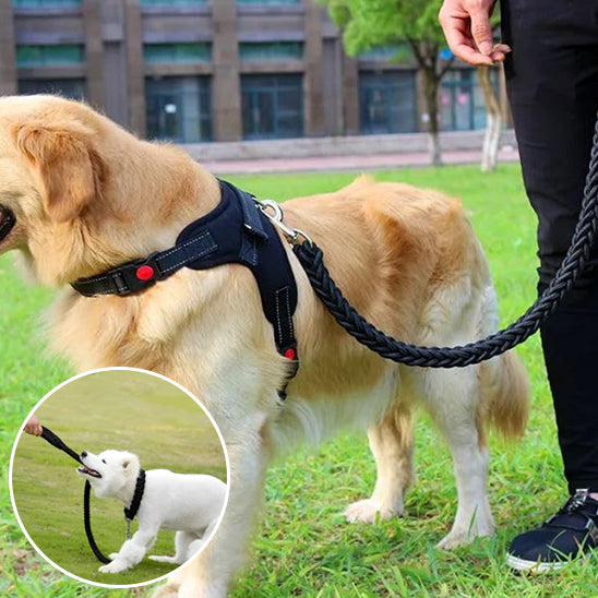 Laisse pour chien | Laisse forte tressée