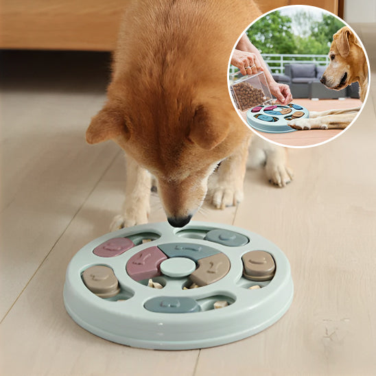 DogDistibNourritureIntéractif™ - Chienspassionnes