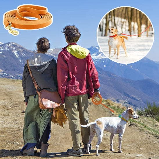 Longe-pour-chien-Robuste-&-Ajustable