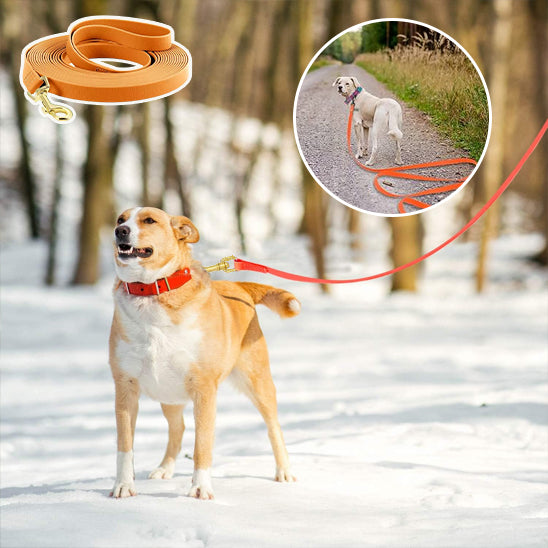 Longe-pour-chien-Robuste-&-Ajustable