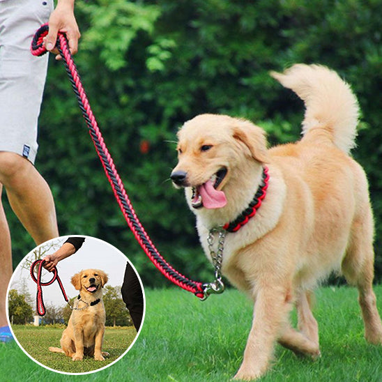 Laisse pour chien | Laisse forte tressée