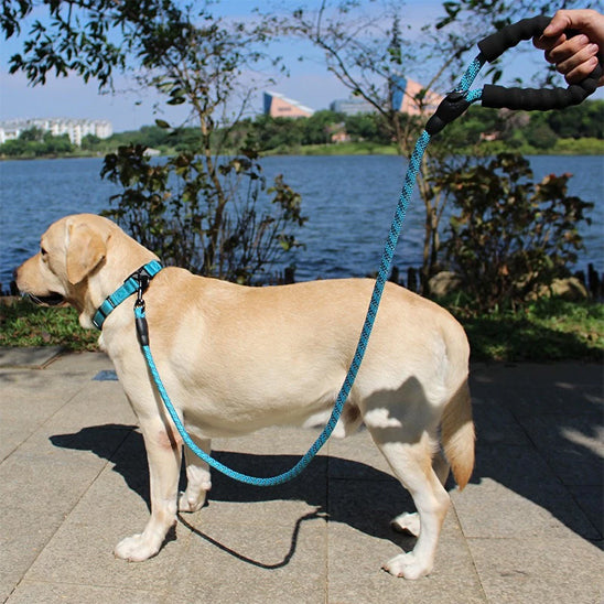 LaisseEduc™ - Corde en Nylon pour chien | Chien - Chienspassionnes