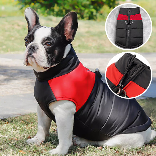 Manteau pour chien | Veste rembourrée